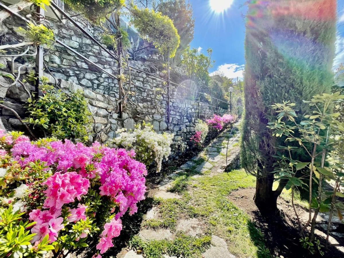 Eden Sul Di Ferienhaus Nesso